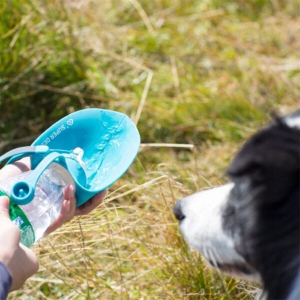 ⁦20 OZ Pet Water Bottle Leaf Design⁩ - الصورة ⁦6⁩