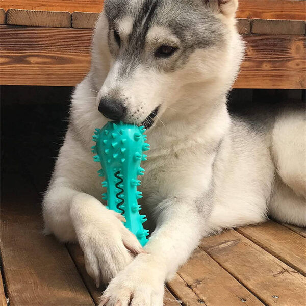 ⁦Pet Dog Cleaning Chew Toys For Aggressive Dogs Rubber Molar Stick Dog Oral Teeth⁩ - الصورة ⁦5⁩